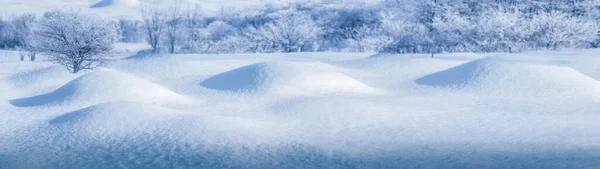 Banner Snöig Vinter Och Snöiga Kullar Och Träd Skog — Stockfoto