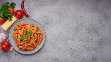 Plate Penne All'arrabbiata pasta and ingredients on gray background with copy space
