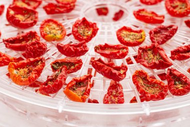 Plastik dehidratör tepsisinde güneşte kurutulmuş domatesler.