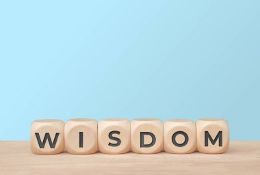 Bilgelik ve hayat tecrübesi kavramı