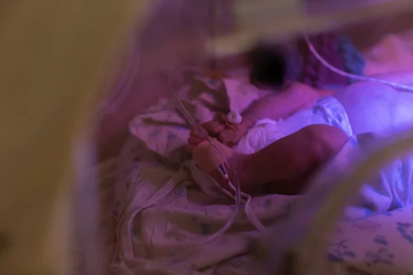 Женщина Врач Осматривает Новорожденного Ребенка Инкубаторе Закройте Женские Руки Стетоскопом — стоковое фото