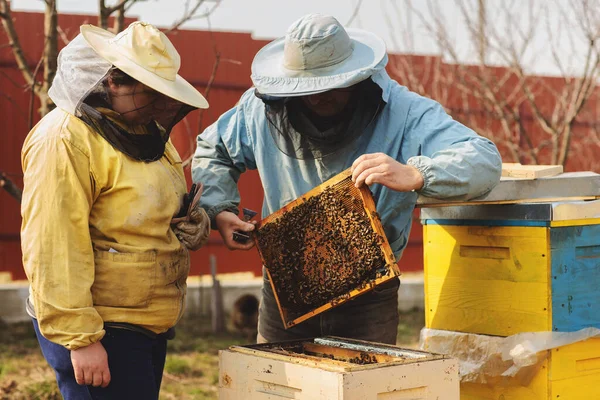 Rodinní včelaři. Včelařská inspekce včelího úlu po zimě — Stock fotografie