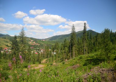 Yaz Karpatları 'nın dağ manzarası. Yeşil tepeler uzaklardan geliyor. Vadinin üstündeki mavi gökyüzünde kabarık bulutlar. Parlak güneşli bir gün