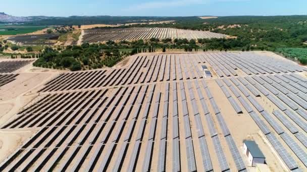 Luftaufnahme Einer Riesigen Farm Von Sonnenkollektoren Solarzellen Mit Sonnenlicht Flug — Stockvideo