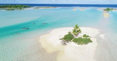 Fransız Polinezya Tahiti Fakarava mercan adası ve ünlü Mavi Göl, mercan resifi ve Pasifik Okyanusu