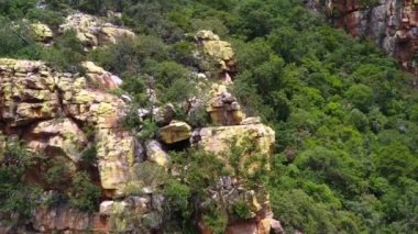 Blyde Nehri Kanyonu 'nun tepesinde ağaçlar ve Güney Afrika' da kırmızı kumtaşı var. Doğayla dolu güzel bir manzara ve seyahat ve tatiller için mükemmel, drone manzarası