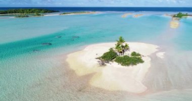 Hava aracı manzaralı küçük ıssız bir ada. 4K 