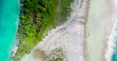 Mavi gölü olan Karayipler 'deki altın ada. Cennet adası tatil ve turizm için mükemmel. Palmiye ağaçlarının altında altın plaj var. Okyanus suyu açık mavidir. Seyahat konsepti. Hava aracı görüntüsü. 4K 