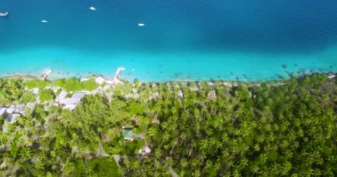 Fransız Polinezyası 'ndaki bir adada palmiye ağaçları arasındaki bungalovların üzerindeki hava manzarası. Tatil için cennet ve palmiye ağaçları altında turizm. Pasifik Okyanusu 'nun suyu açık mavidir. Tropikal seyahat kavramı - İHA ile hava görüntüsü - 4K