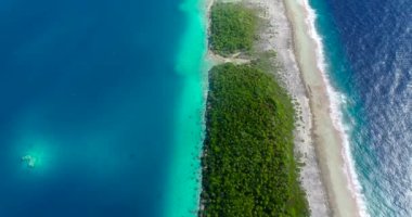 Mavi gölü olan Karayipler 'deki altın ada. Cennet adası tatil ve turizm için mükemmel. Palmiye ağaçlarının altında altın plaj var. Okyanus suyu açık mavidir. Seyahat konsepti. Hava aracı görüntüsü. 4K 