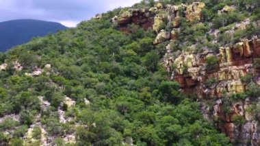 Blyde Nehri Kanyonu 'nun tepesinde ağaçlar ve Güney Afrika' da kırmızı kumtaşı var. Doğayla dolu güzel bir manzara ve seyahat ve tatiller için mükemmel - drone manzarası
