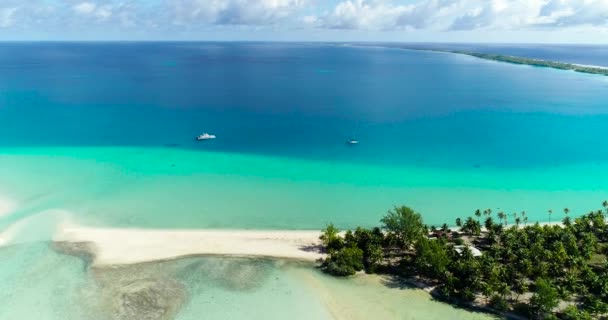 프랑스령폴리네시아 타히티 파카라 환초와 산호초와 태평양 — 비디오
