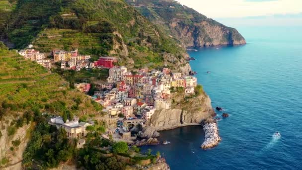 Widok Lotu Ptaka Wieś Manarola Cinque Terre Wybrzeża Włoch Wspaniały — Wideo stockowe