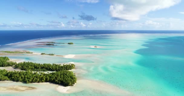 Polinésia Francesa Taiti Fakarava Praia Oceano Pacífico — Vídeo de Stock