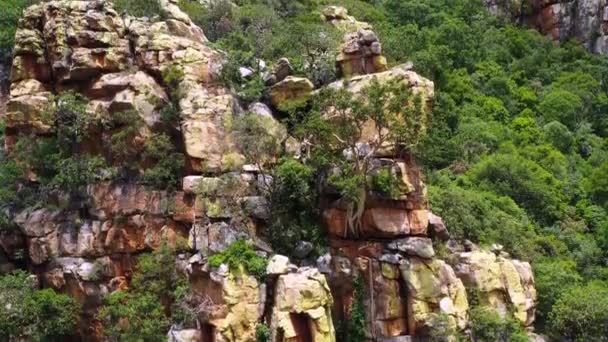 Útes Kaňonu Řeky Blyde Stromy Červeným Pískovcem Jižní Africe Krásná — Stock video