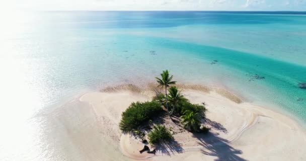 Polinesia Francesa Tahití Atolón Fakarava Famosa Laguna Azul Arrecife Coral — Vídeo de stock