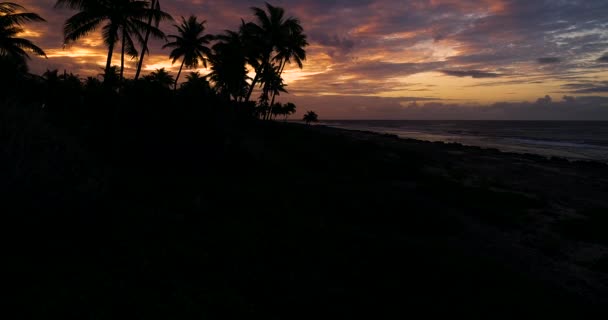 Palmen Bei Sonnenuntergang Polynesien Tahiti Fakarava Pazifischer Ozean — Stockvideo
