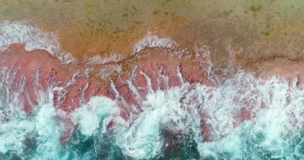 Εναέρια Άποψη Ένα Drone Πάνω Από Κύματα Συντρίβεται Μια Τροπική — Αρχείο Βίντεο