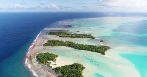 French Polynesia Tahiti Fakarava Beach Pacific Ocean — Stock Video