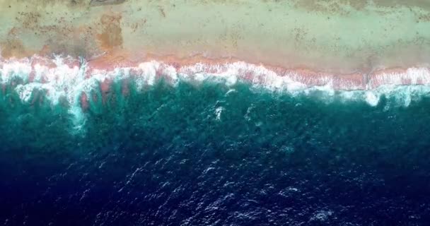 Polinésia Francesa Taiti Fakarava Praia Oceano Pacífico — Vídeo de Stock