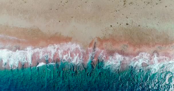 フランス領ポリネシアの熱帯のビーチで波がクラッシュします 青い波の半分と太平洋のビーチとサンゴ礁の半分 波は強い 旅行熱帯のコンセプト ドローンでの空の景色 — ストック動画