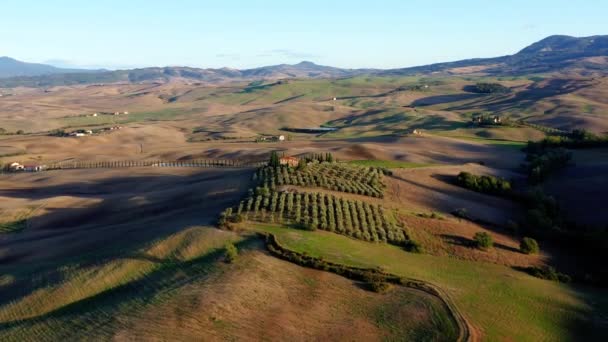 Italian Field All Horizon Agricultural Fields Meadows Aerial View Beautiful — Stock Video