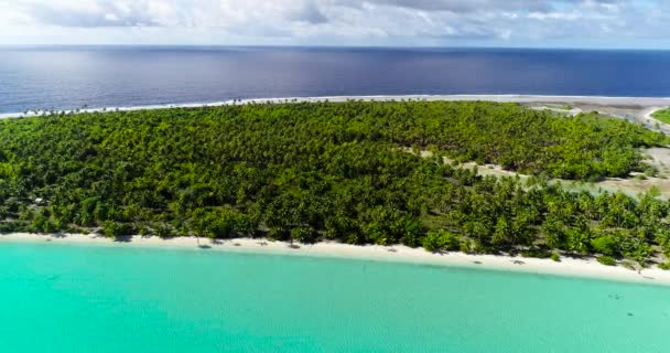 Polinesia Francese Tahiti Fakarava Spiaggia Nell Oceano Pacifico — Video Stock