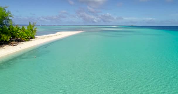 Polynésie Française Atoll Tahiti Fakarava Célèbre Lagune Bleue Récif Corallien — Video