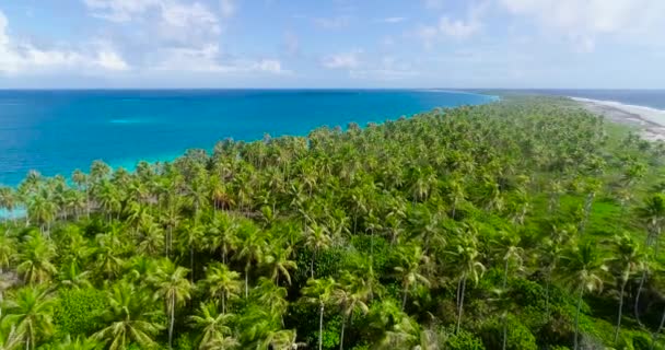 Francia Polinézia Tahiti Fakarava Atoll Híres Kék Lagúna Korallzátony Csendes — Stock videók