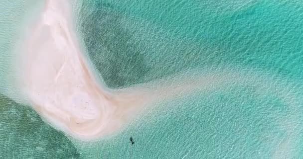 Francouzská Polynésie Tahiti Fakarava Atoll Slavná Modrá Laguna Korálový Útes — Stock video