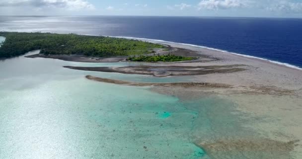 Polinésia Francesa Taiti Fakarava Praia Oceano Pacífico — Vídeo de Stock