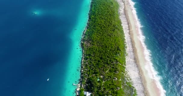 Pasifik Okyanusu Cennet Adası Ndaki Mavi Göl Mercan Adası Palmiye — Stok video