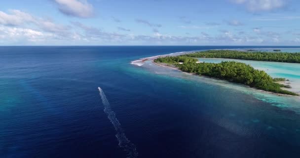 Fransız Polinezyası Nda Lagünü Olan Ada Manzarası — Stok video