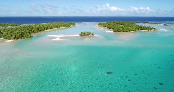 Polinesia Francesa Tahiti Fakarava Playa Océano Pacífico — Vídeo de stock