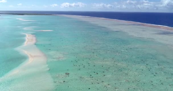 Французька Полінезія Таїті Факарава Атол Знаменита Блакитна Лагуна Кораловий Риф — стокове відео