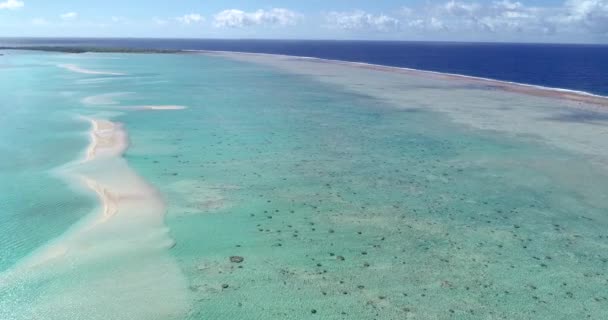 Polynésie Française Atoll Tahiti Fakarava Célèbre Lagune Bleue Récif Corallien — Video