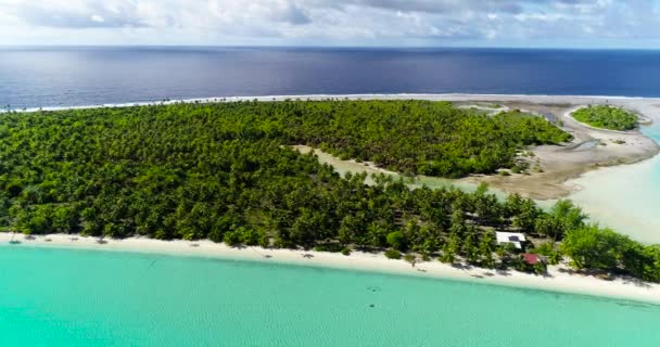 Franska Polynesien Tahiti Fakarava Strand Stilla Havet — Stockvideo