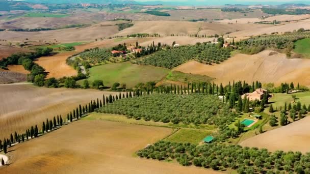 Aldeia Italiana Monticchiello Toscana Itália Drone Voando Sobre Magnífica Aldeia — Vídeo de Stock