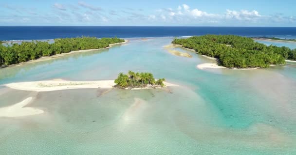 Polinésia Francesa Taiti Fakarava Praia Oceano Pacífico — Vídeo de Stock