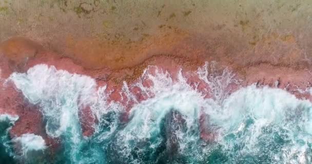 フランス領ポリネシアの熱帯のビーチで波の上の無人機との空中の眺め 青い波の半分と太平洋のビーチとサンゴ礁の半分 波は強い 旅行熱帯のコンセプト — ストック動画