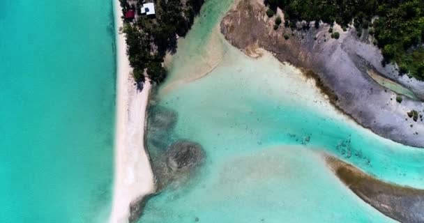 Polinezja Francuska Atol Tahiti Fakarava Słynna Błękitna Laguna Rafa Koralowa — Wideo stockowe