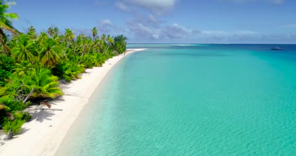 Fransız Polinezya Tahiti Fakarava Mercan Adası Ünlü Mavi Göl Mercan — Stok video