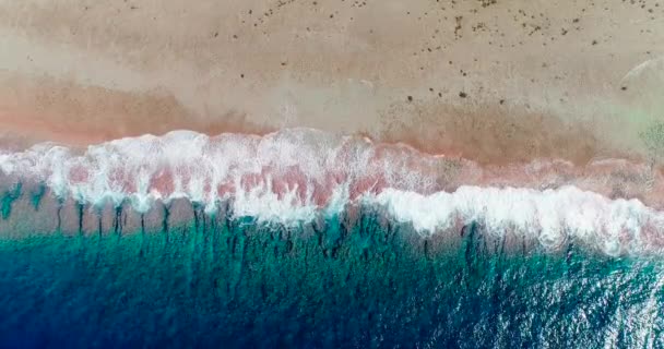 Ondas Batendo Uma Praia Tropical Polinésia Francesa Metade Com Ondas — Vídeo de Stock