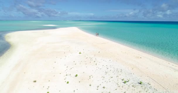 Polinésia Francesa Tahiti Atol Fakarava Famosa Lagoa Azul Recife Coral — Vídeo de Stock