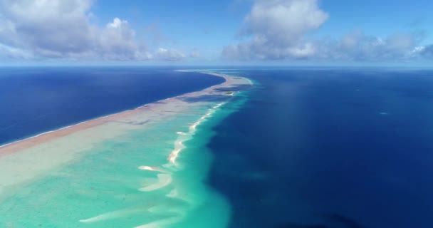 Francouzská Polynésie Tahiti Fakarava Atoll Slavná Modrá Laguna Korálový Útes — Stock video