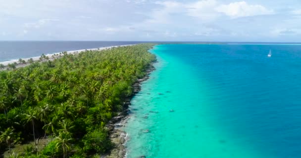 Blue Lagoon Atoll Island French Polynesia Paradise Island Perfect Holidays — Stock Video