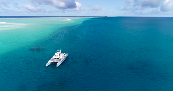 Polinesia Francesa Tahiti Fakarava Atolón Barco Arrecife Coral Océano Pacífico — Vídeo de stock