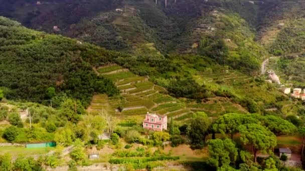 Spezia Belediyesinin Monterosso Köyü Yakınlarındaki Cinque Terre Dağları Boyunca Teraslardaki — Stok video