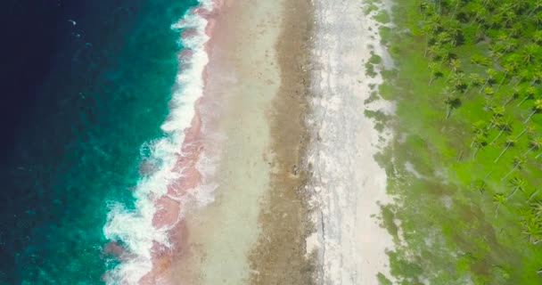 在法属波利尼西亚的热带海滩上 飞机上的海景被海浪冲刷得粉碎 一半带着蓝色波浪 一半带着太平洋的海滩和棕榈树林 海浪很大 热带旅游概念 — 图库视频影像