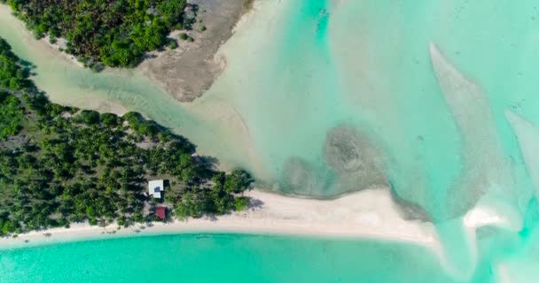 Polinésia Francesa Tahiti Atol Fakarava Famosa Lagoa Azul Recife Coral — Vídeo de Stock